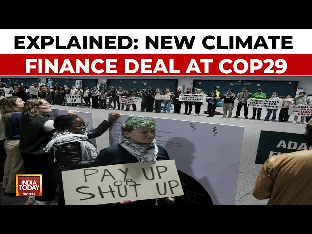 ⁣What To Know About The New $300 Billion A Year Climate Finance Deal Reached At COP29