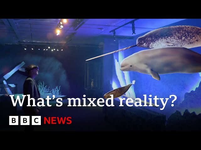 ⁣What a 'mixed reality' experience tells us about the future of the natural world | BBC New