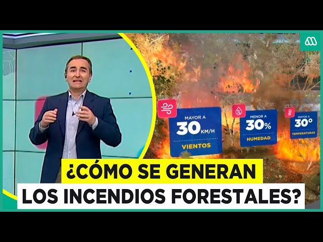 ⁣¿Cómo se generan los incendios forestales?: Una de las amenazas del verano en Chile