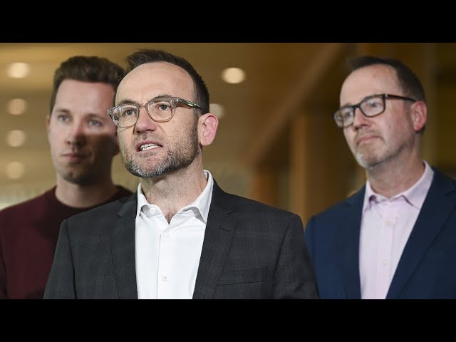 ⁣‘Off with the pixies’: Greens’ housing plan is ‘economically irresponsible’