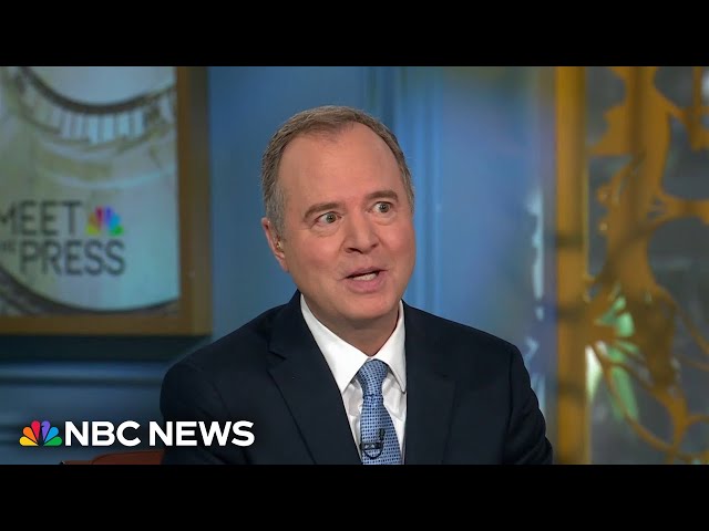 ⁣‘Entire Democratic Party bears responsibility’ for Kamala Harris’ loss, says Adam Schiff