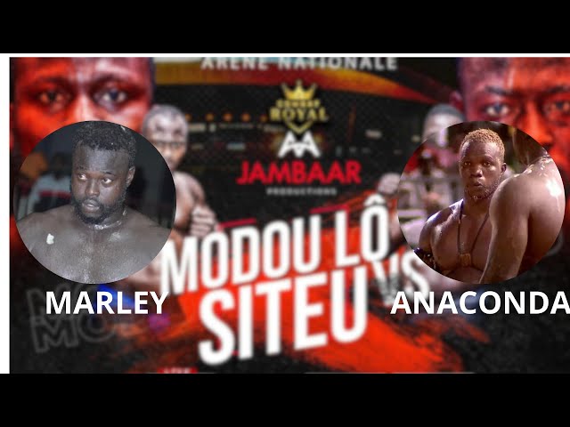 ⁣COMBAT ANACONDA VS MARLEY : COMBAT BOU GAW - 24 NOVEMBRE 2024