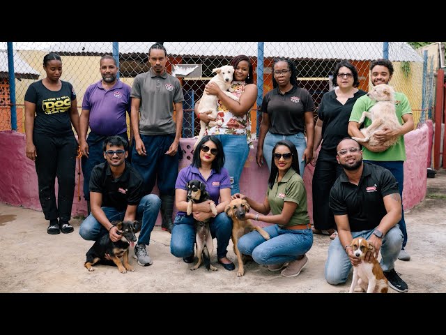 ⁣Feel Good Moment - Angostura And Tito's Handmade Vodka Donate To TTSPCA