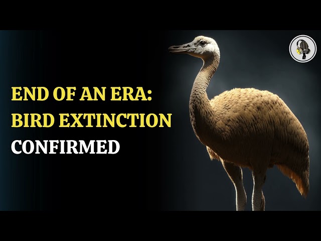 ⁣Slender-billed Curlew: The Tragic Extinction Of A Migratory Shorebird.| WION Podcast