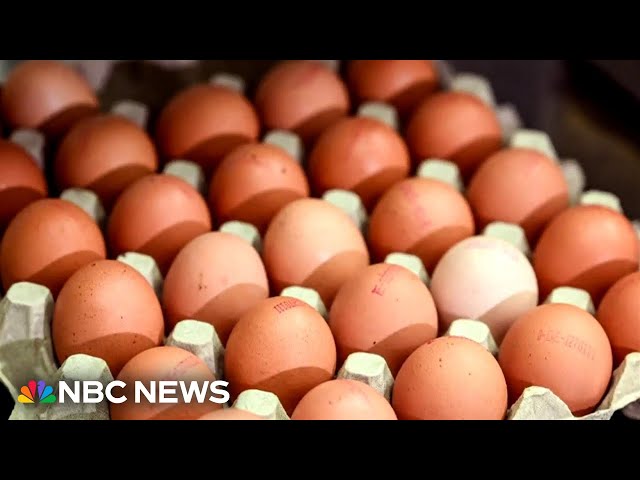 ⁣Nationwide egg shortage ahead of Thanksgiving  