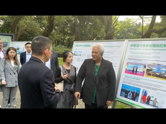 ⁣Samoan PM learns about Shenzhen's mangrove protection, economic development