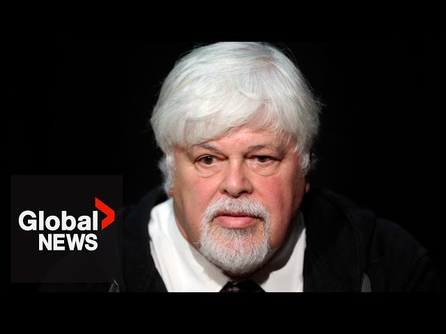 ⁣Paul Watson: Can the environmental activist get out of jail yet again?