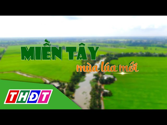 ⁣Ký ức bên những dòng kênh | Tập 45: Miền Tây - Mùa lúa mới | THDT