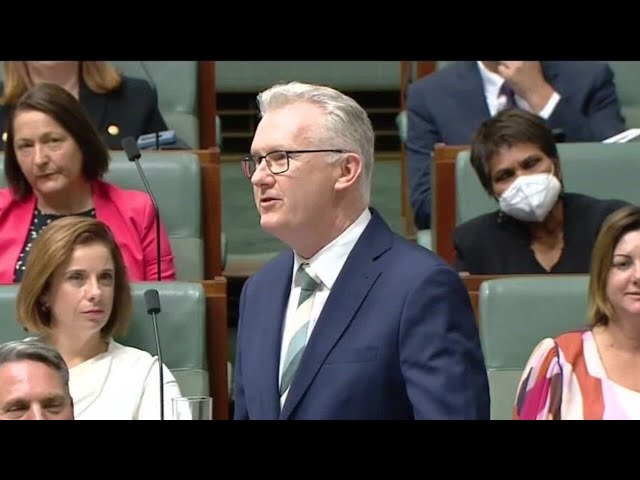 ⁣The Coalition has ‘opposed’ all of Labor's efforts to lift wages: Tony Burke