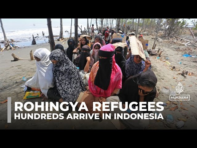 ⁣Rohingya refugees: Hundreds have arrived in Indonesia in recent weeks