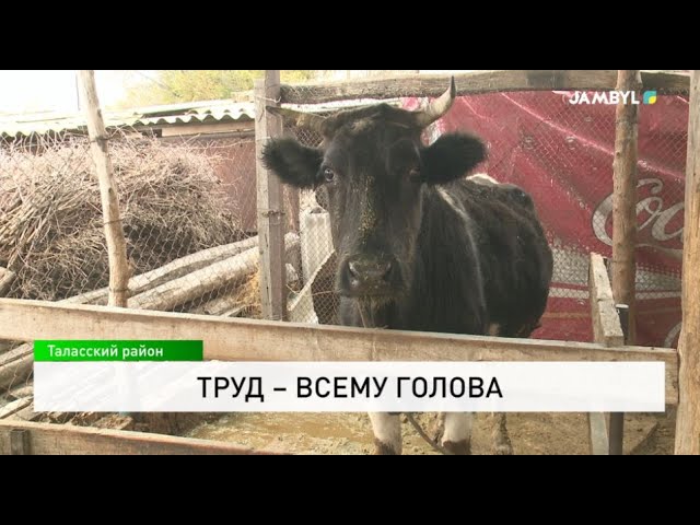 ⁣Труд – всему голова