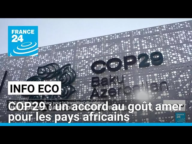 ⁣COP29 : un accord au goût amer pour les pays africains • FRANCE 24