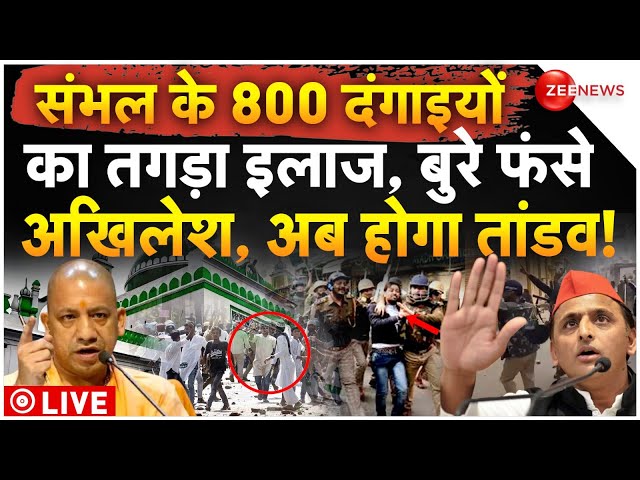 ⁣Biggest Action On Sambhal Muslims LIVE: 800 दंगाइयों का तगड़ा इलाज, बुरे फंसे अखिलेश, अब होगा तांडव!