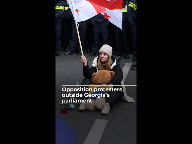 ⁣Opposition protesters rally outside Georgia's parliament | AJ #shorts