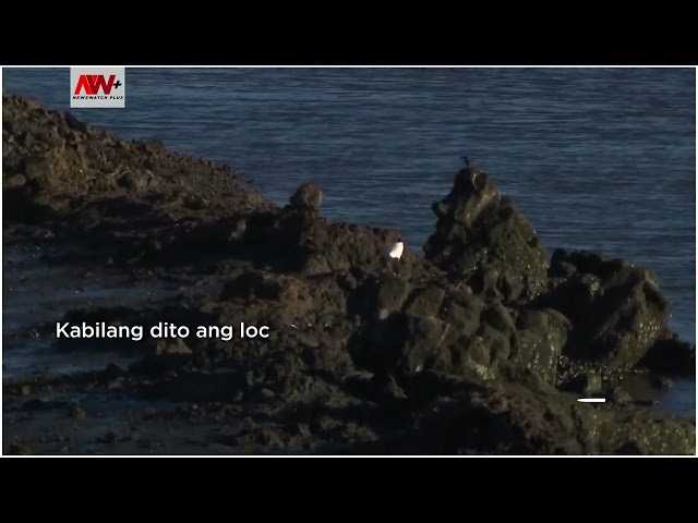 ⁣Mas maraming biodiversity sites para sa migratory birds planong itayo ng San Miguel Corp. sa 2025