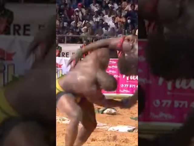 ⁣Chute ou pas chute qui fait polémique - Combat Royal Modou Lo vs Siteun - 24 Novembre 2024