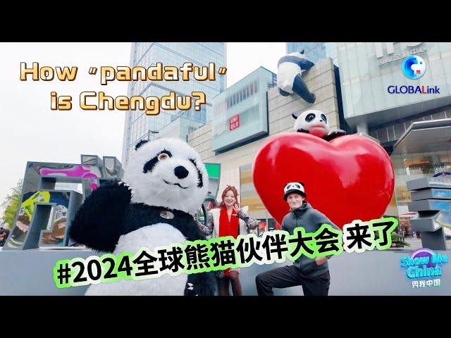 ⁣Show Me China | How "pandaful" is Chengdu?