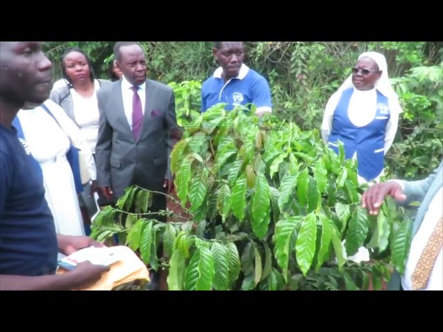 ⁣Denmark, Buganda promote climate-resilient farming in Mpigi