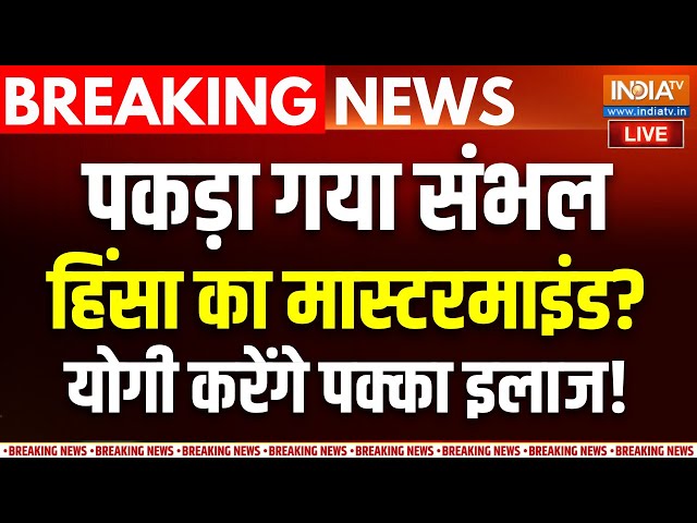 ⁣Big Action In Sambhal Violence LIVE : सर्वे पर खूनी संग्राम...सबकुछ था प्री-प्लान्ड ? | Jama Masjid