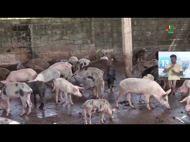 ⁣Entrepreneuriat agro-pastoral : une délégation ministérielle à la ferme porcine Agrisma