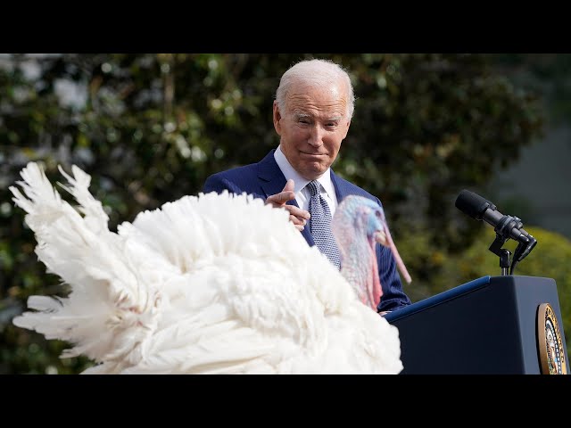 ⁣LIVE: Biden pardons turkeys ahead of Thanksgiving | NBC News