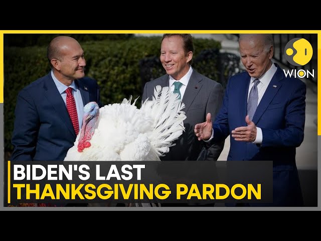 ⁣Turkeys 'Peach' & 'Blossom' Set for Biden's Last Thanksgiving | Latest 