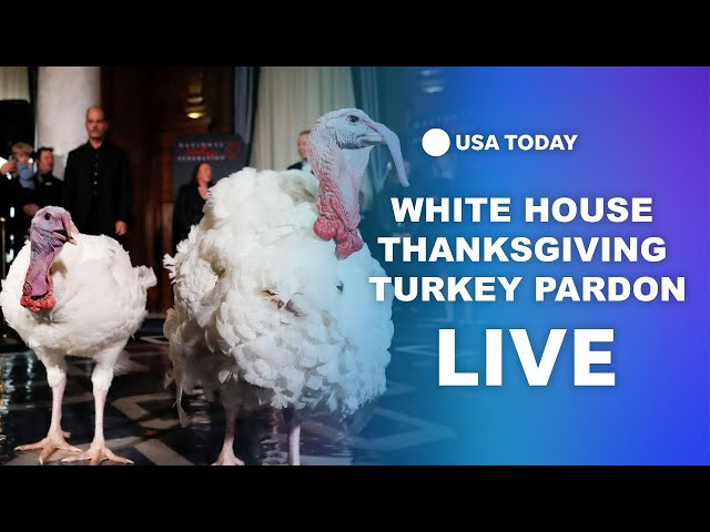 ⁣Watch live: Annual White House Thanksgiving turkey pardon | USA TODAY