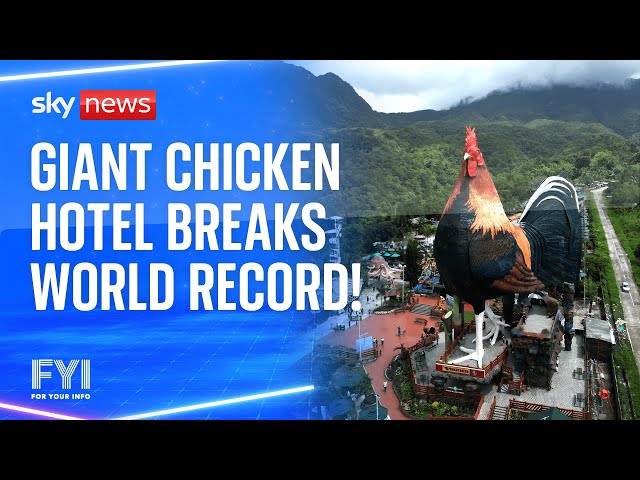 ⁣Giant chicken hotel breaks world record!