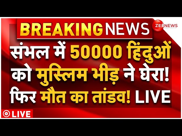 ⁣Muslims Massive Attack On Hindu In Sambhal LIVE : 50 हजार हिंदुओं को घेरकर मुस्लिम भीड़ का तांडव!