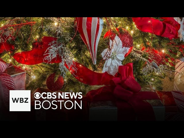 ⁣The Santa Foundation brings Christmas to families in need