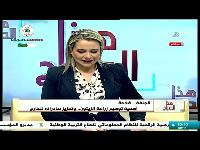 ⁣الجلفة: أهمية توسيع زراعة الزيتون وتحقيق جودة المنتوج