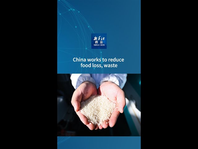 ⁣Xinhua News | China works to reduce food loss, waste