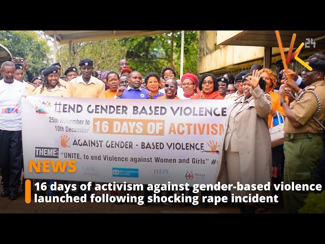 ⁣16 days of activism against gender-based violence launched following shocking rape incident