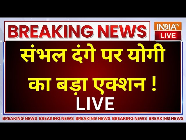 ⁣CM Yogi Big Action On Sambhal Hinsa LIVE: संभल के दंगाइयों का अब योगी करेंगे इलाज !