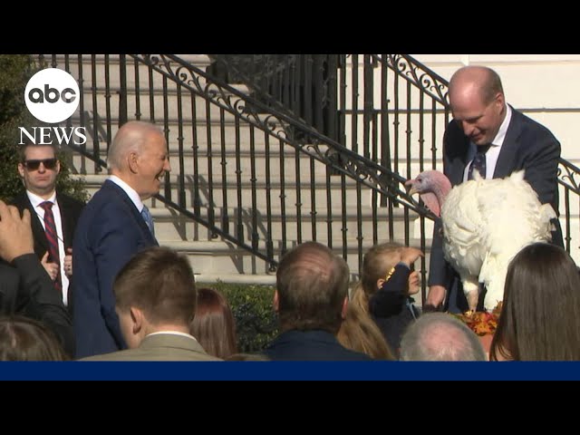 ⁣Biden pardons turkeys Peach and Blossom before Thanksgiving