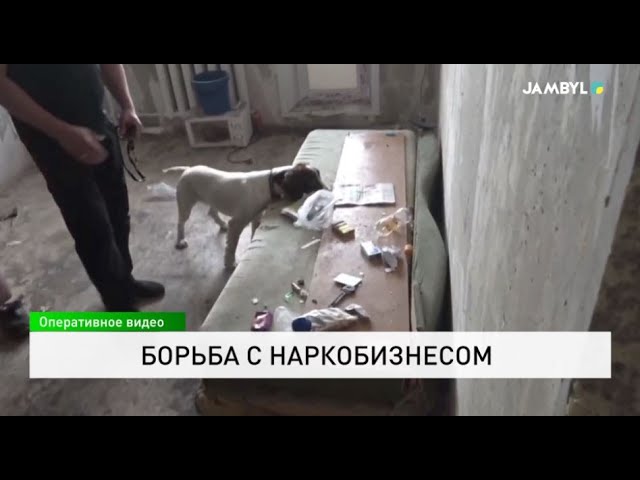 Борьба с наркобизнесом