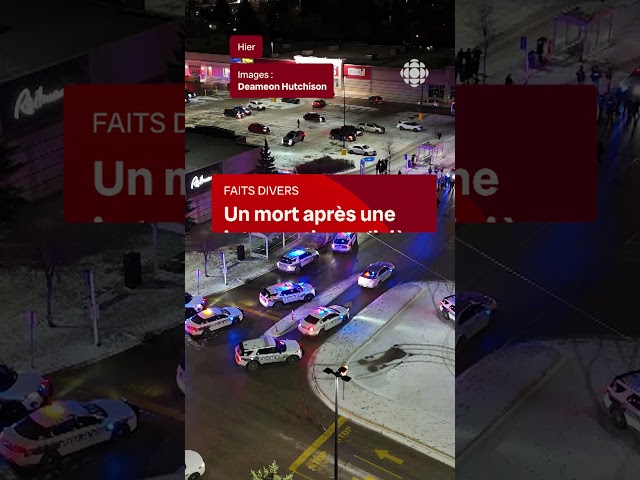 ⁣Un homme est abattu après avoir poignardé un agent de la police | Vidéojournal