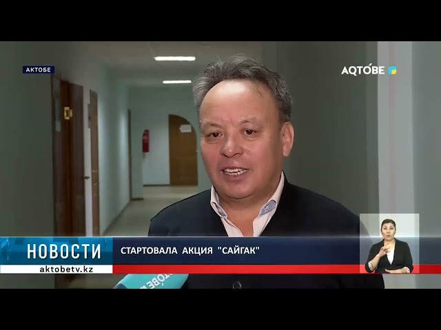 ⁣Стартовала  акция  "Сайгак"