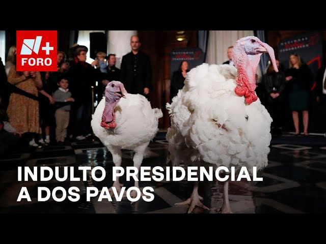 ⁣Indulto presidencial al pavo, tradición de Acción de Gracias en la Casa Blanca -Expreso de la Mañana