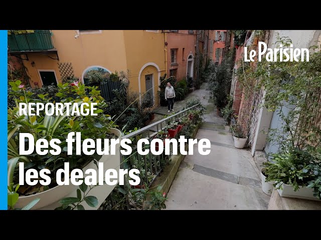 ⁣Un retraité niçois installe des plantes dans sa rue pour faire fuir les dealeurs