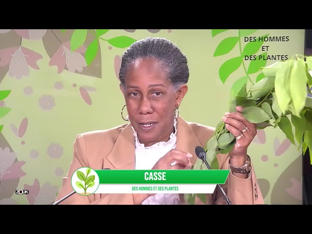 ⁣DES HOMMMES ET DES PLANTES  - 23 NOVEMBRE 2024 -   LA CASSE