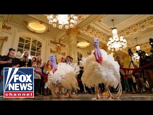 ⁣Biden pardons turkeys in White House's annual Thanksgiving tradition