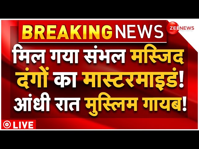 ⁣Sambhal Mosque Clash Big Action LIVE Updates : संभल दंगों के मास्टरमाइंड पर एक्शन, भागे मुस्लिम!