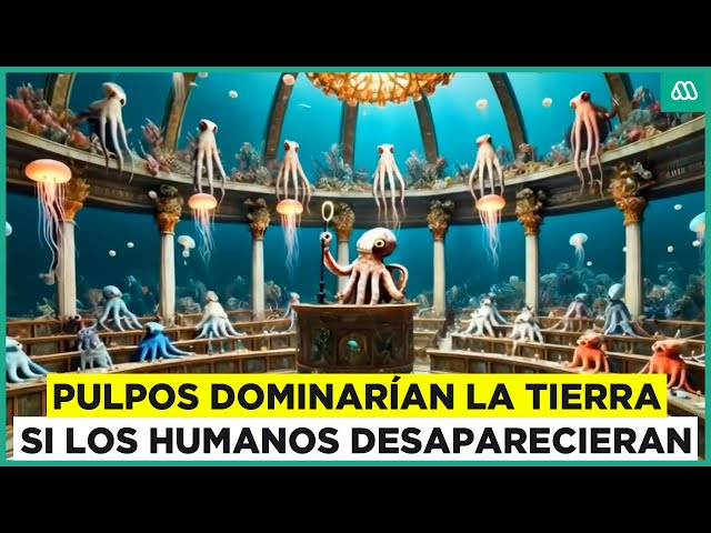 ⁣Los pulpos dominarían el mundo si el humano no existiera