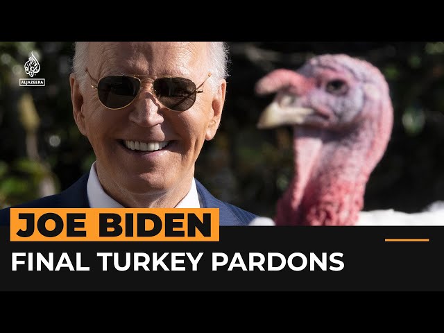 ⁣Biden gives final Thanksgiving turkey pardons of his presidency | AJ #Shorts