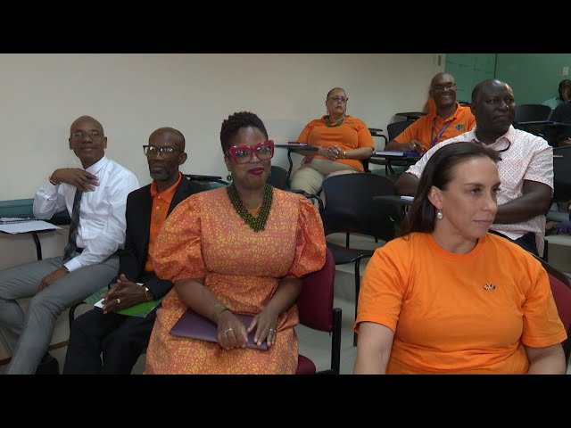 ⁣Gov't to conduct prevalence study on gender-based violence in Barbados