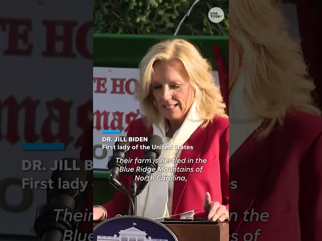 ⁣Jill Biden receives White House Christmas tree for the last time #Shorts