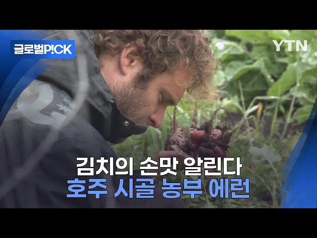 ⁣[반복재생] 김치 속도 야무지게 만든다...김장하는 호주 농부