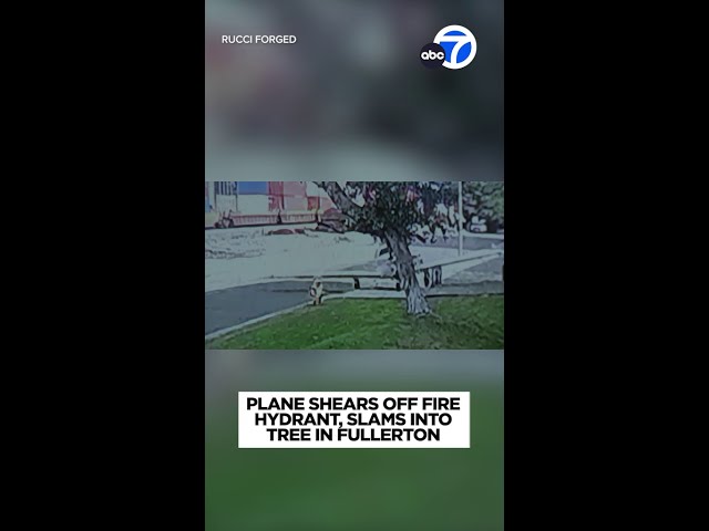 ⁣Plane shears off fire hydrant, slams into tree in Fullerton