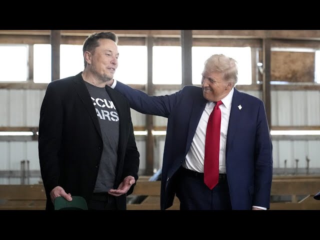 ⁣Donald Trump and Elon Musk have ‘so much to lose’ if they ‘fall out’